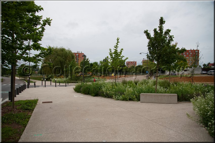 2024_06_17 - 0019.jpg