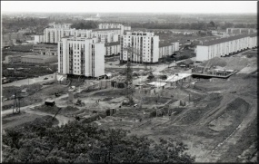 1961