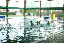piscine_vert_bois