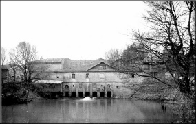 1901